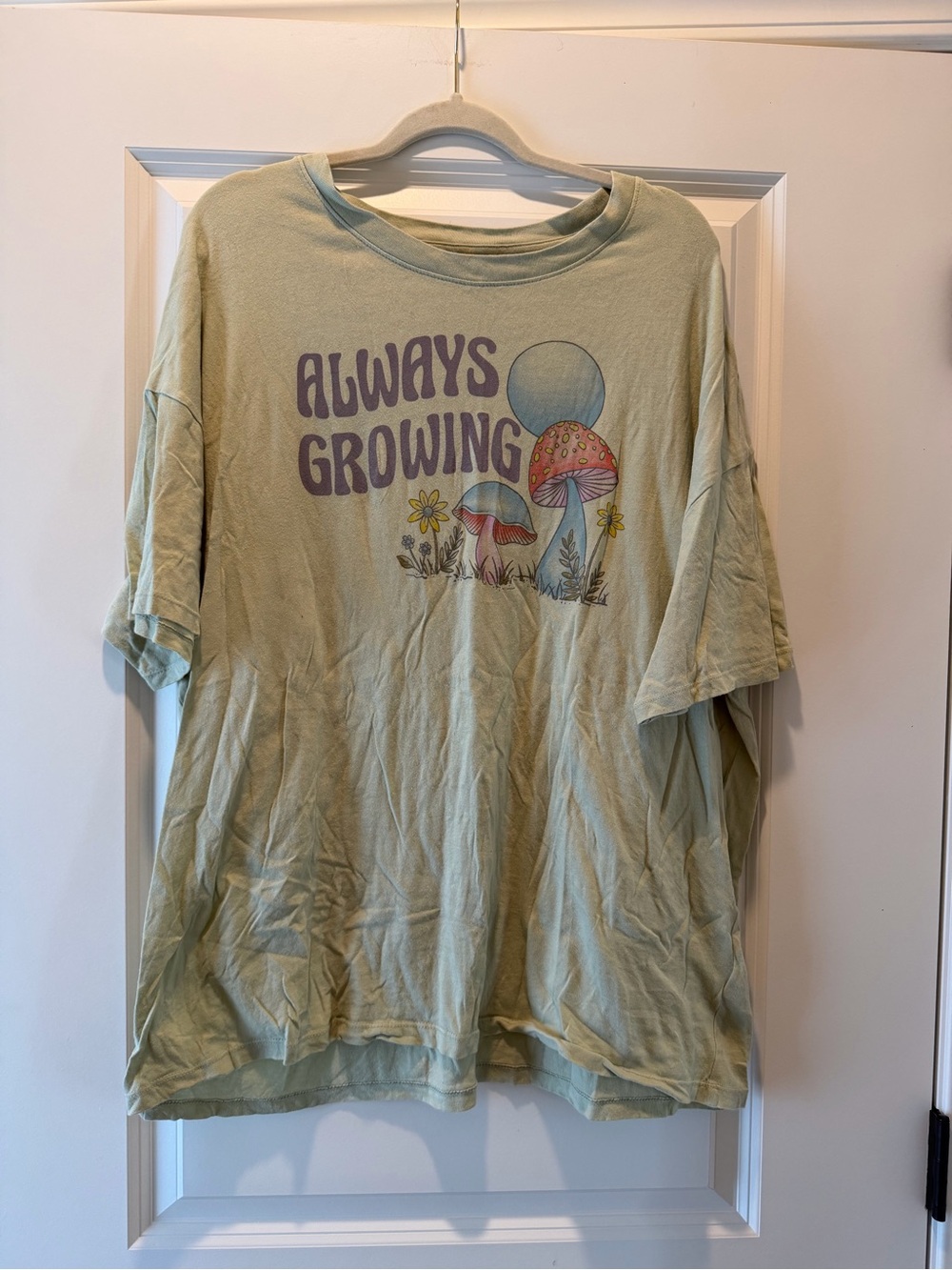 American Eagle Outfitters Sage Green "Always Growing" Graphic Tee